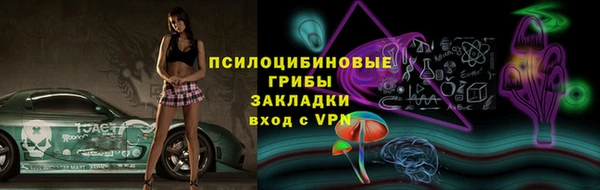 хмурый Алексеевка