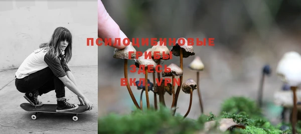 тгк Арсеньев