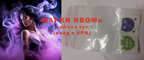 хмурый Аркадак