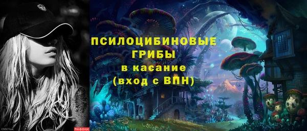 дурь Алексин
