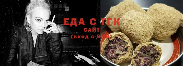 хмурый Аркадак