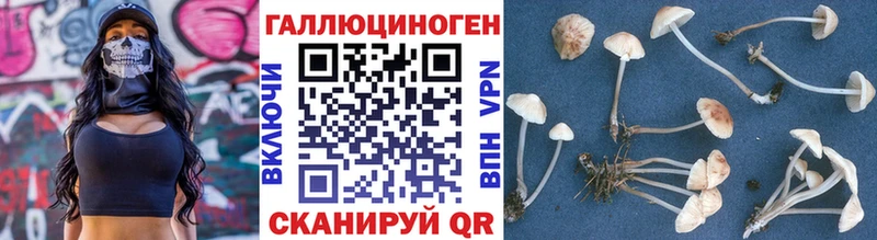 Псилоцибиновые грибы мухоморы  Светлоград 