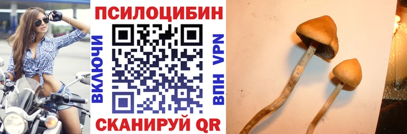 Псилоцибиновые грибы MAGIC MUSHROOMS Светлоград